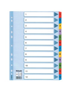 Index 1-12 Mulitcolor Mylar A4