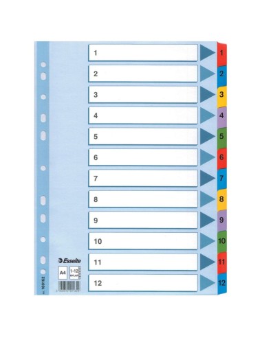 Index 1-12 Mulitcolor Mylar A4