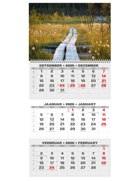 Wall calendar College TRIO EE-LV-LT Local+English 2026 no.4