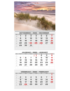 Wall calendar College TRIO EE-LV-LT Local+English 2026 no.5