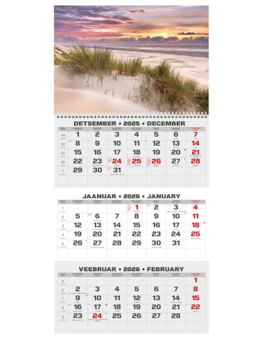 Wall calendar College TRIO EE-LV-LT Local+English 2026 no.5