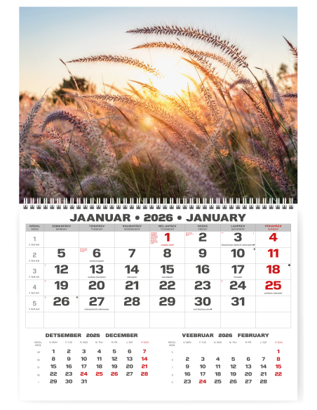 Wall calendar College UNO EE-LV-LT Local+English 2026 no.6