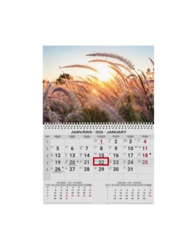 Wall calendar College UNO EE-LV-LT Local+English 2026 no.6
