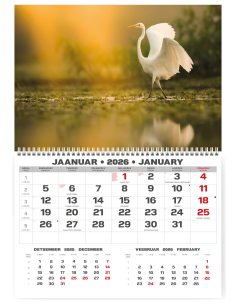 Wall calendar College UNO EE-LV-LT Local+English 2026 no.3