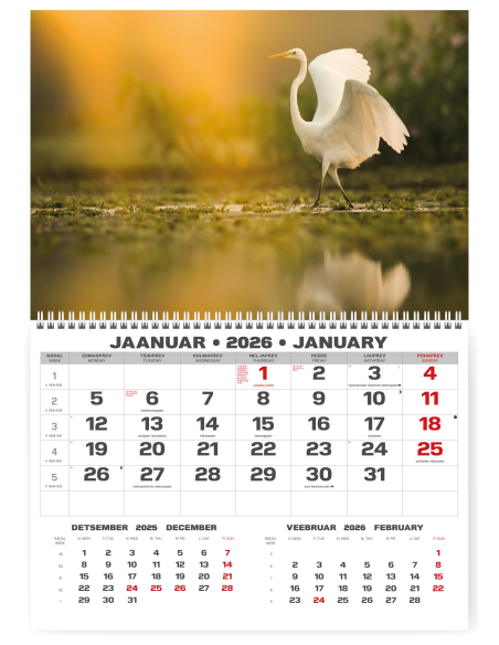 Wall calendar College UNO EE-LV-LT Local+English 2026 no.3