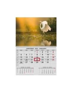 Wall calendar College UNO EE-LV-LT Local+English 2026 no.3 2