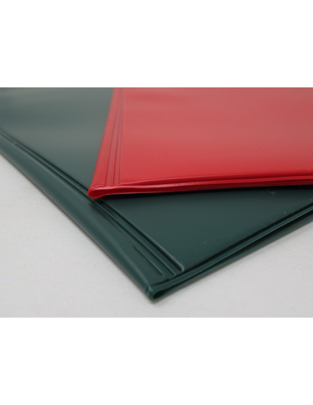 Kaaned Prolexplast sisetaskutega  A4 assortii