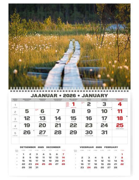 Wall calendar College UNO EE-LV-LT Local+English 2026 no.4