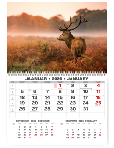 Wall calendar College UNO EE-LV-LT Local+English 2026 no.2