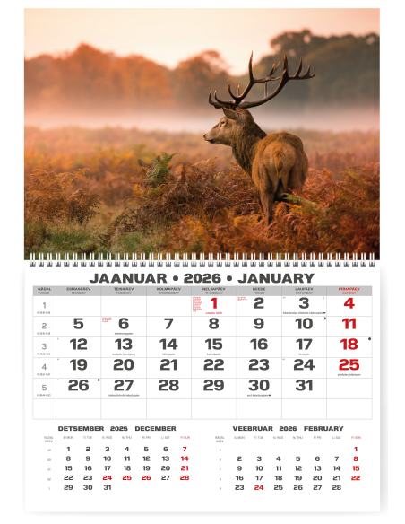 Wall calendar College UNO EE-LV-LT Local+English 2026 no.2