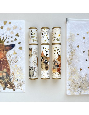Pastapliiats Bruno Visconti DreamWrite Magic Day 0.7mm sinine assortii