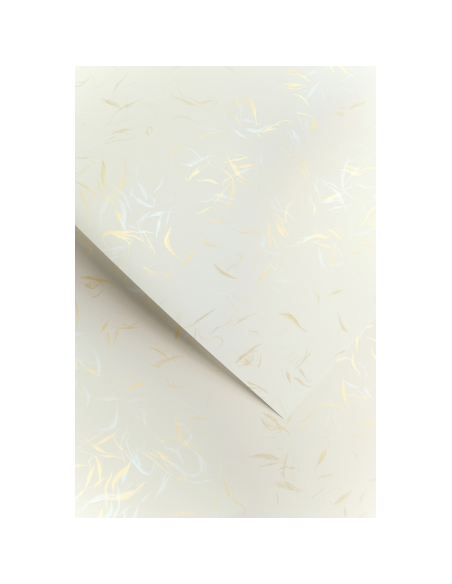 Decorative card paper A4 Wind white 20 pcs/box 230g/m2