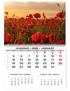 Wall calendar College UNO EE-LV-LT Local+English 2026 no.8