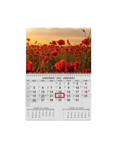 Wall calendar College UNO EE-LV-LT Local+English 2026 no.8