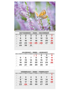 Wall calendar College TRIO EE-LV-LT Local+English 2026 no.7