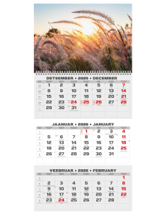 Wall calendar College TRIO EE-LV-LT Local+English 2026 no.6