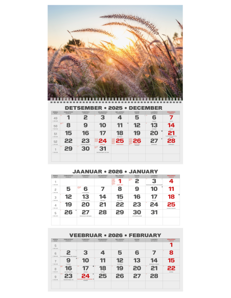 Wall calendar College TRIO EE-LV-LT Local+English 2026 no.6