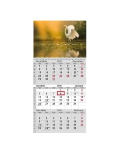 Wall calendar College TRIO EE-LV-LT Local+English 2026 no.3 2