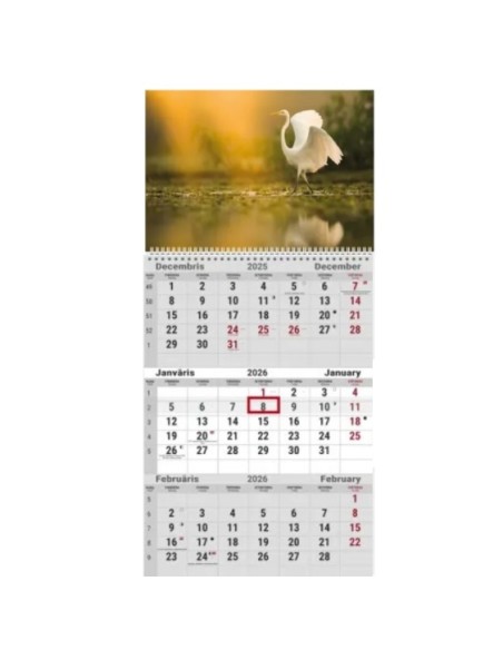 Wall calendar College TRIO EE-LV-LT Local+English 2026 no.3