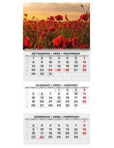 Wall calendar College TRIO EE-LV-LT Local+English 2026 no.8