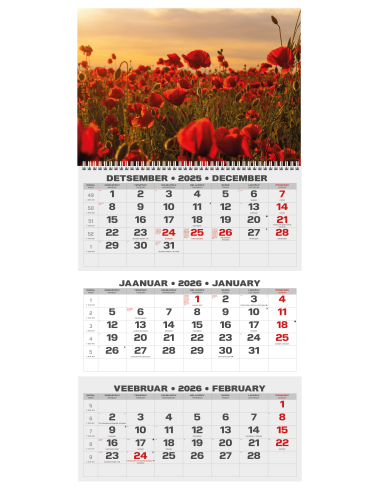Wall calendar College TRIO EE-LV-LT Local+English 2026 no.8
