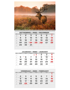 Wall calendar College TRIO EE-LV-LT Local+English 2026 no.2