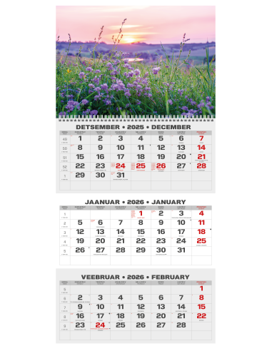 Wall calendar College TRIO EE-LV-LT Local+English 2026 no.9