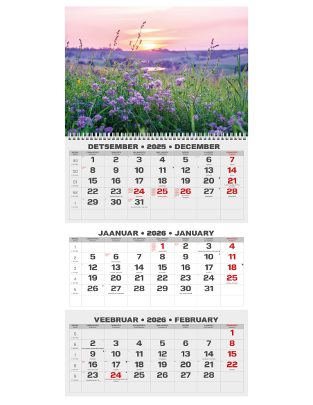 Wall calendar College TRIO EE-LV-LT Local+English 2026 no.9