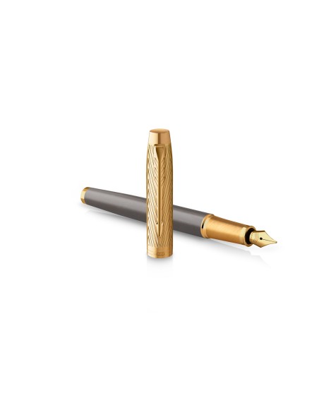Im Pioneer  FOUNTAIN  PEN  -  F