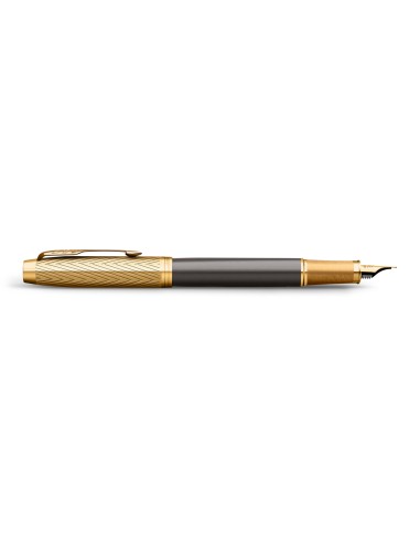 Im Pioneer  FOUNTAIN  PEN  -  F