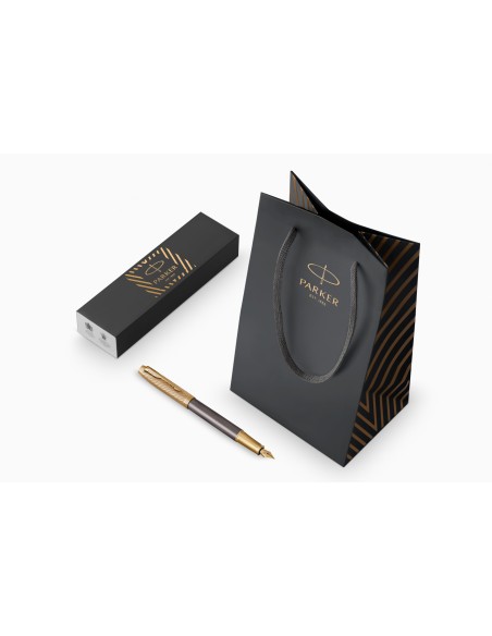 Im Pioneer  FOUNTAIN  PEN  -  F