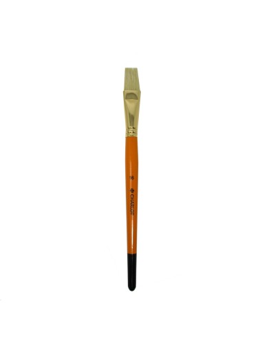 Brush Charlot Flat Bristle Hair #16
