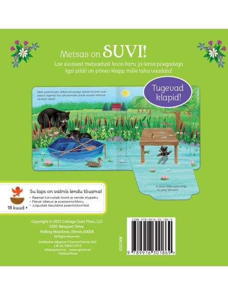 Uuri ja avasta. Suvi metsas