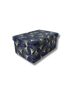 Kinkekarp College 13.5x9x6.2cm Blue