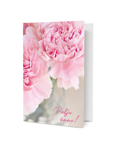 Postcard - Pink Carnations