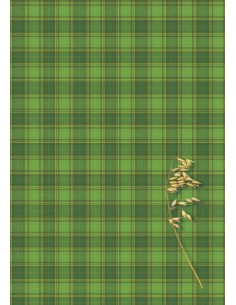 Notebook Kreska A4/96L 5x5 ruled 2