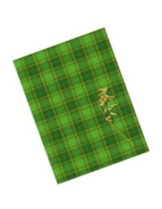 Notebook Kreska A4/96L 5x5square