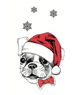 Õnnitluskaart Bulldog jõul 2