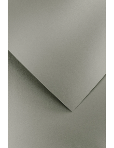 Decorative card paper A4 PEARL light silver  20 pcs/box 210g/m2