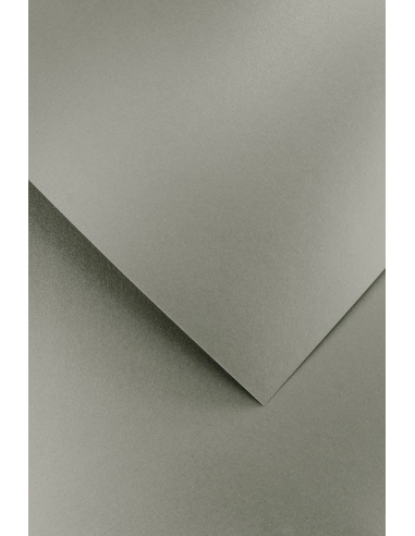 Decorative card paper A4 PEARL light silver  20 pcs/box 210g/m2