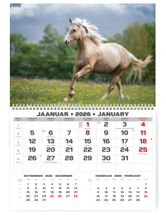 Wall calendar College UNO EE-LV-LT Local+English 2026 no.1
