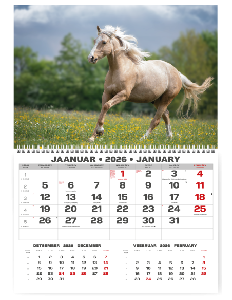 Wall calendar College UNO EE-LV-LT Local+English 2026 no.1
