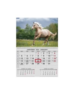 Wall calendar College UNO EE-LV-LT Local+English 2026 no.1 2