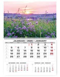 Wall calendar College UNO EE-LV-LT Local+English 2026 no.9