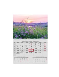 Wall calendar College UNO EE-LV-LT Local+English 2026 no.9 2