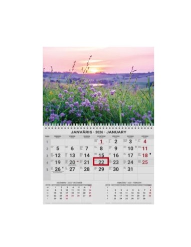 Wall calendar College UNO EE-LV-LT Local+English 2026 no.9