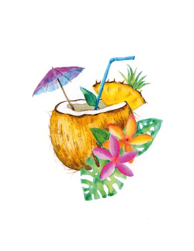 Gofa Aqua Dual Marker Coconut