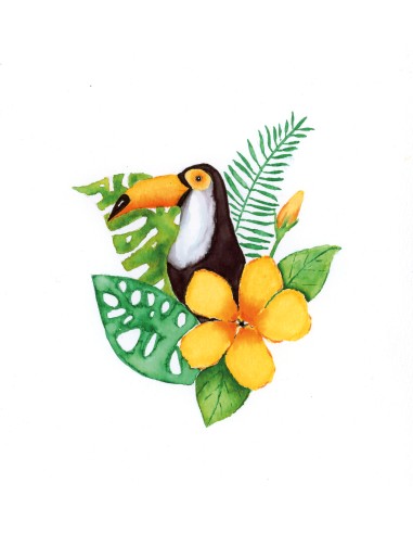 Akvarellimarker Faber-Castell Gofa Aqua Leaves