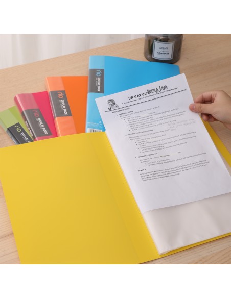 Display Book DELI A4-30 pages ASST.