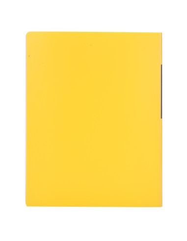 Display Book DELI A4-60 pages ASST.